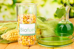 The Platt biofuel availability